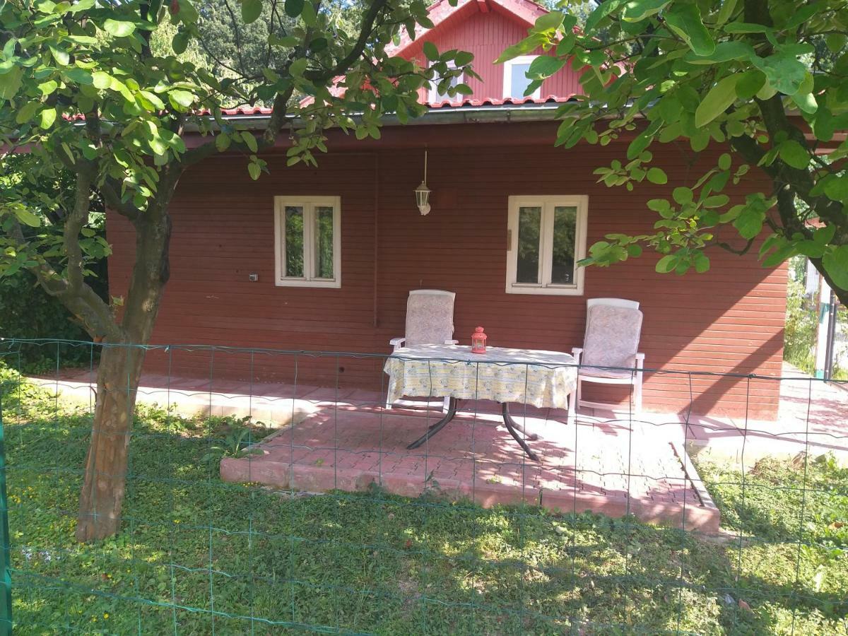Rustic Country House In Snagov Apartamento Exterior foto